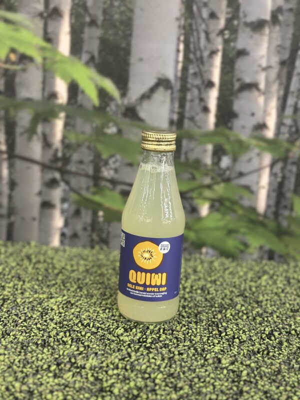 Quiwi Gele Kiwi - Appel 20cl
