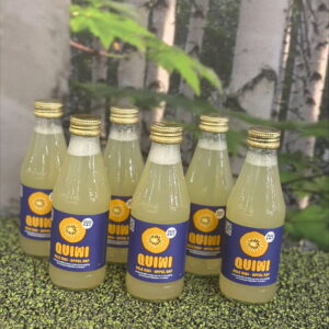 Quiwi Gele Kiwi - Appel 20cl - 5+1